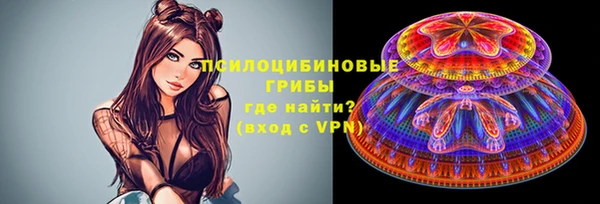 твердый Надым