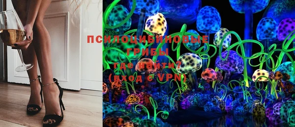 метадон Гусев
