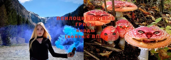 твердый Надым