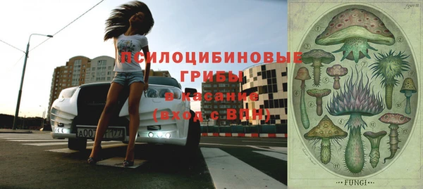 твердый Надым