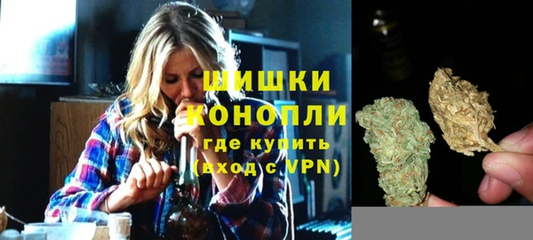 метадон Гусев